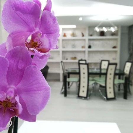 Paradise Apartament Brašov Exteriér fotografie