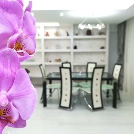 Paradise Apartament Brašov Exteriér fotografie