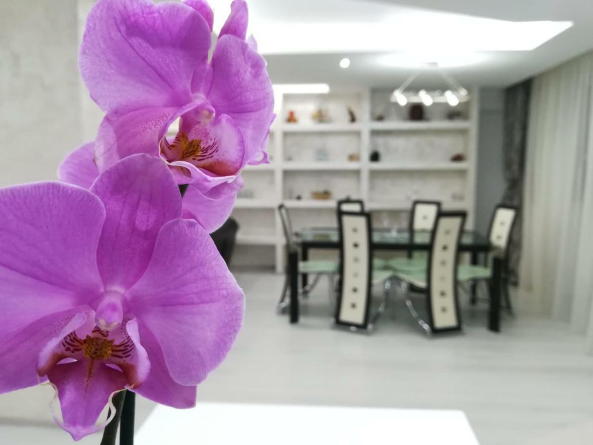 Paradise Apartament Brašov Exteriér fotografie
