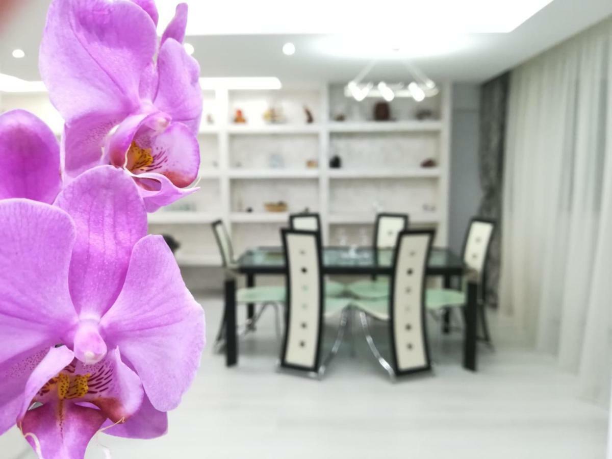 Paradise Apartament Brašov Exteriér fotografie